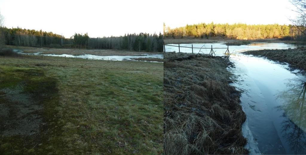 Sid 7 (16) Land m fl., 2016). Den direkta tillförseln av fosfor via fågelspillning har beräknats av bl.a. Lerner (2006).