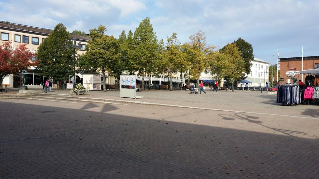Träd och växter på torget Ett allvarligt problem som måste hanteras är att flertalet av de träd som idag står på torget inte mår bra.