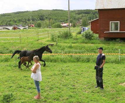Bilder från invigningen av Konst i Byn i Björbo Foto: Bengt Erkers Kulturchefen och Dagny Olsson