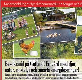 är gratis. 6 juli: Harmonie. Mia Löfgren, Anna-Lena Svensson, Cattis Svensson och Lisbeth Östman. 13 juli: Kapten Lounge.