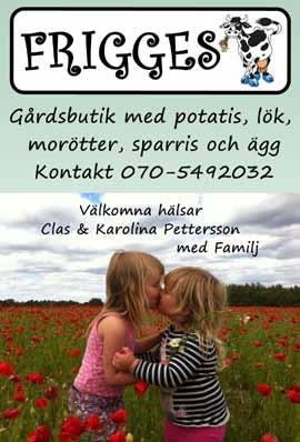 Captain Tortue & Gute golfskolor 17 Herrdag 19 NÄRKDAGEN, sponsras av När-företagen 22 KM Herr, Dam, Junior 30 Äkta makar Augusti 1 Sudermästerskapet 2 Sudermästerskapet 27 När Open september 3