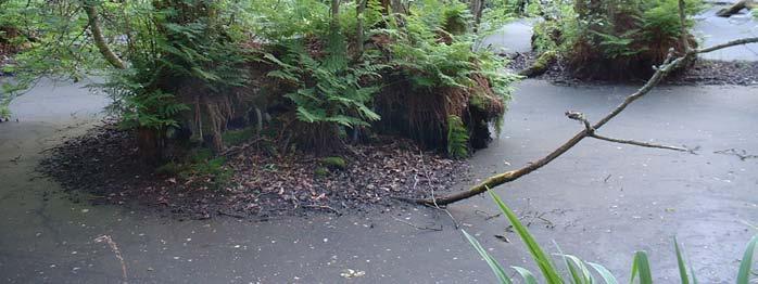 Klibbalskogar Alkärr Alkärren ligger i sänkor i terrängen och kännetecknas av stagnerande grundvatten som fylls på under vintern och våren. Jordmånen är alltid kärrtorv.