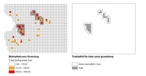 Figur 3.3 Metodiken som använts för att avgränsa trakter illustreras här genom ett utsnitt från traktanalysen av granskog. Varje ruta motsvarar 5 x 5 km.