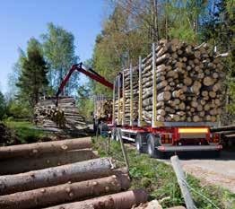 KÄNSLA Rench dalen mellan floden Rhen och Schwarzwald är vårt hem.
