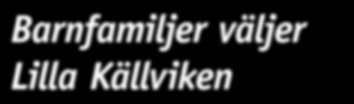 BOR I FALU KOMMUN NR 2-2017 Det
