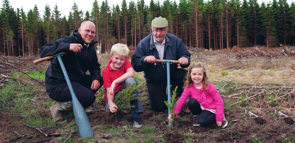 TRÄFÖRÄDLING, HELA KEDJAN från skog till färdigt hus gruppen är Sveriges största familjeägda träindustri med anor från 946.