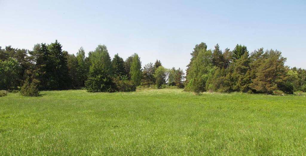 Inledning Västerås stad har gett Linnea Natur och Ekologi uppdraget att undersöka kärlväxtfloran och identifiera värdekärnor i ett hagmarksområde vid Dingtuna skola.