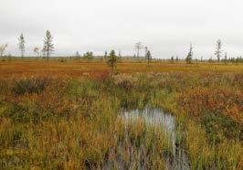 Åkermark (7%) Arable