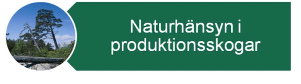 Sveaskogs naturvårdsstrategiska