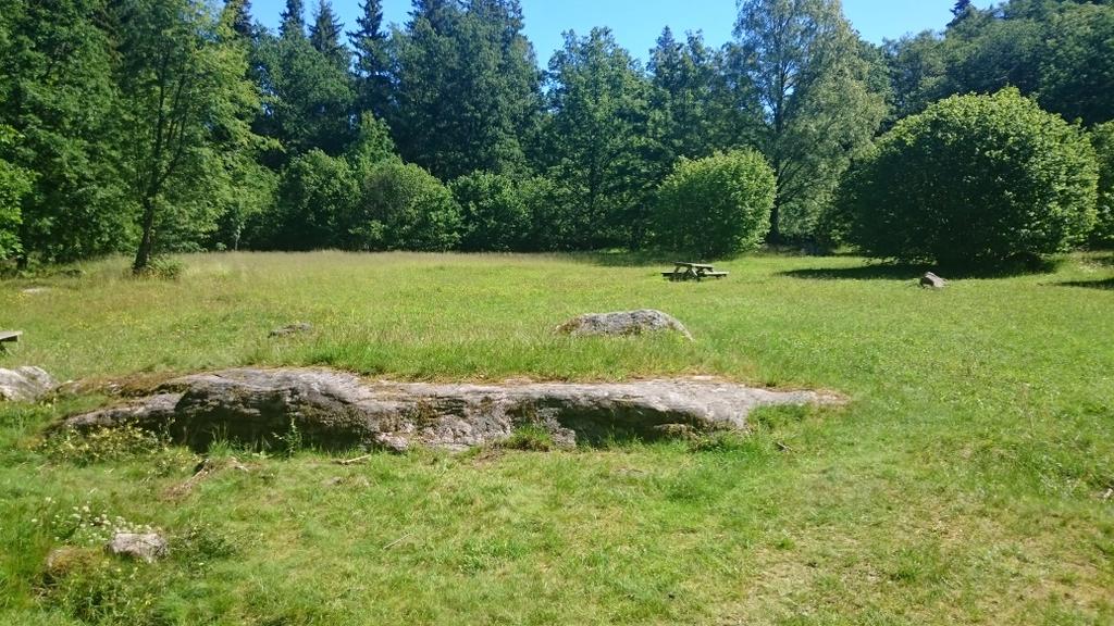 Kröklings hage Tordsgården Vid Tordsgården finns en välbetad, sydvänd, sandig sluttning med rik torrängsflora och varmt mikroklimat.