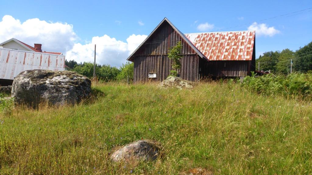 Berget Upptröst I en hagmark i Upptröst finns teveronika, maskrosor, gökärt, jungfrulin, smörblommor, apel, käringtand, fibblor, rödklöver, rölleka, vitklöver, blodrot, blåklocka, ljung, tistlar och