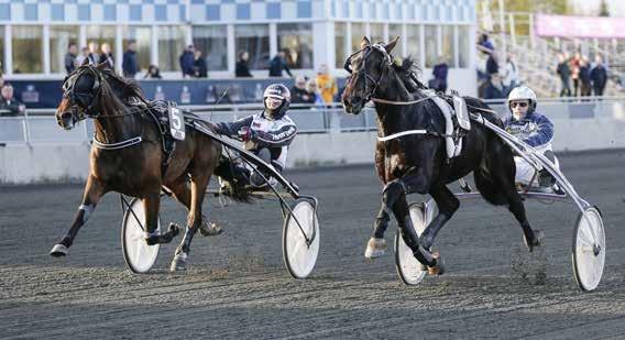 Bankod: 7 Nr - 07 Pris: 0 kr