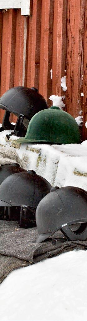 Foto: Urban Wigert Tabell 5. Schablonvärden för fosforutsöndring från häst Djurslag Utsödrad mängd fosfor per år (Kg) Häst, stor (500 kg) 8,9 Häst, ponny (300 kg) 6,4 Foto: www.smålandsbilder.