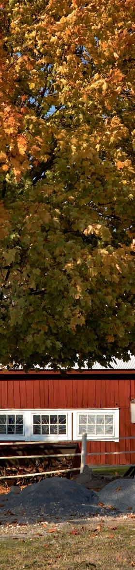 Inom känsliga områden får inga gödselmedel spridas under tiden 1 november till 28 februari.