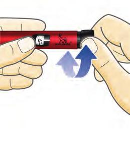 8 Kontrollera ALLTID insulinflödet innan du injicerar 1 Kontrollera ALLTID flödet innan du injicerar. Upprepa kontrollen tills insulin sprutar ut från nålspetsen.