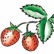 Öppettider midsommar Midsommarafton 9-12 Midsommardagen Stängt Välkommen till Rydsnäs Handel! Mån-fredag 9 18 Lördag 10 14 Tel. 0381-500 07 Torsdag 22/6 Traditionell midsommarlunch!