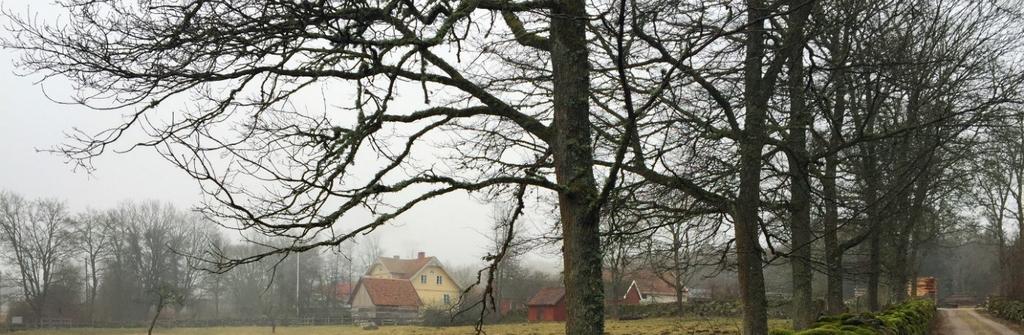 Kulturmiljö Kring Ekeberg finns ett kulturlandskap som karaktäriseras av betesmarker och odlingsskiften som omgärdas av välbevarade stenmurar. I söder, på åssluttningen, dominerar skogen.