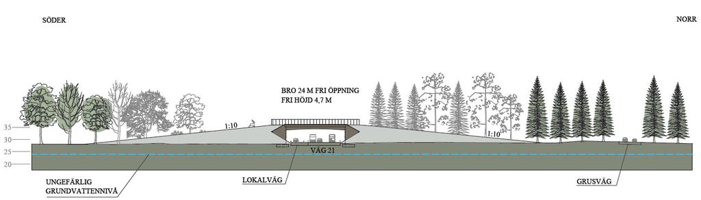 Lokalvägen förses med räcke och bländskydd mot väg 21 och mot viltpassagen. Broytan (där djuren går) kommer att ligga cirka 7,3 meter över vägbanan på väg 21.