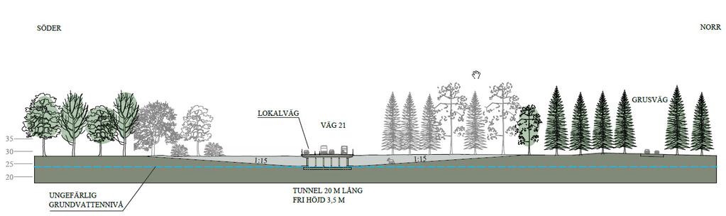 Figur 13. Sektion som visar alternativ under väg 21. 6. EFFEKTER OCH KONSEKVENSER Effektivitet Med passagens effektivitet avses hur väl den utnyttjas av djurlivet på platsen.