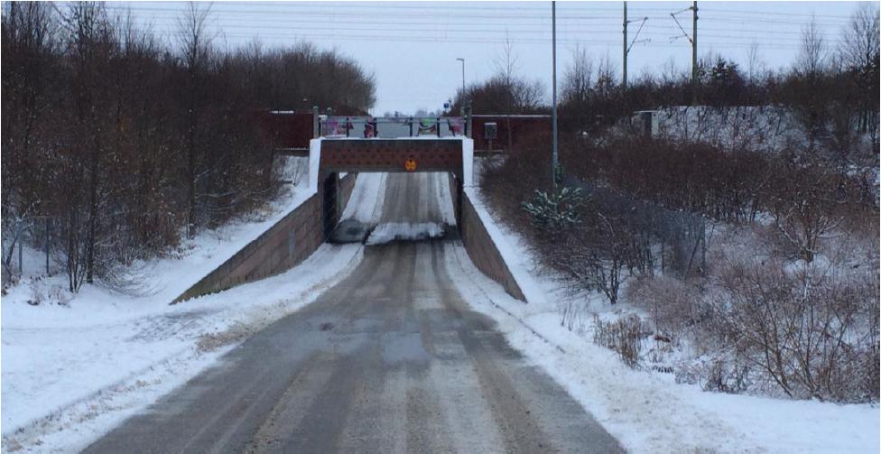 3. UTGÅNGSPUNKTER Viltpassagens funktion En viltpassage är ett säkert stråk över eller under vägen för de vilda djuren.