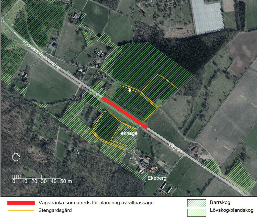 Ställningstagande för trafiken Viltpassagen ska dimensioneras för tre körfält både i bro- och portalternativet.