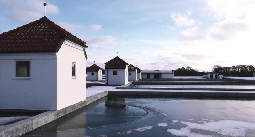 Flera viktiga satsningar har gjorts inom området miljö - bland annat arbete med läkemedelsrening av vatten och driftstart av Lejonpannan. Även Lejonfastigheter går på högvarv.