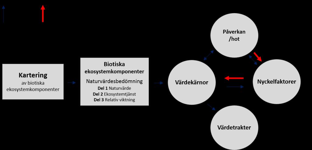 Marin grön infrastruktur naturvärdesbedömning, nyckelfaktorer och påverkansfaktorer 6.