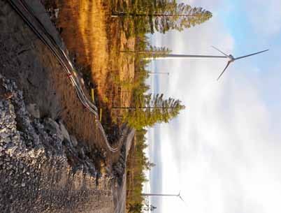 Under december 2010 då Byrkije reinbeitesdistrikt flyttade ner renarna till