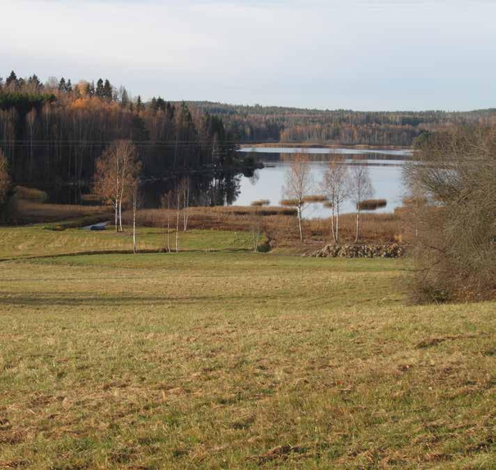 VATTEN, JORD OCH SKOG Skog och jord i Stora Skedvi. Tre fastigheter. Säter Nedernora 1:112, 1:95 och Säter Ostrorne 3:3. Ca 16 ha skog med virkesförrådet 3 170 m³sk, 6 ha jordbruksmark.