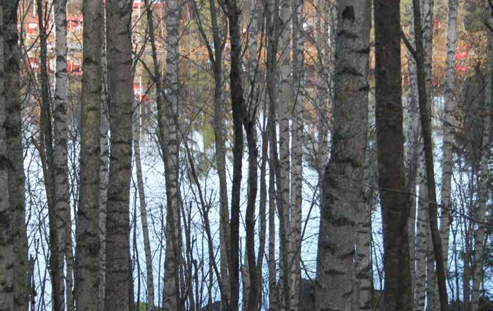SKOG OCH MARK SKOGSMARK Till fastigheten Säter Nedernora 1:112 hör enligt skogsbruksplanen 15,7 ha produktiv skogsmark med ett uppskattat virkesförråd om 3 172 m³sk, vilket motsvarar ca 202 m³sk/ha.