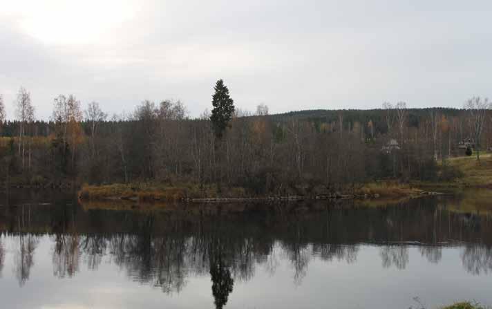 VÄGBESKRIVNING Fastigheternas skiften är belägna från Dalälven i söder till Ålängen och Dalavägen i norr. Se kartor!