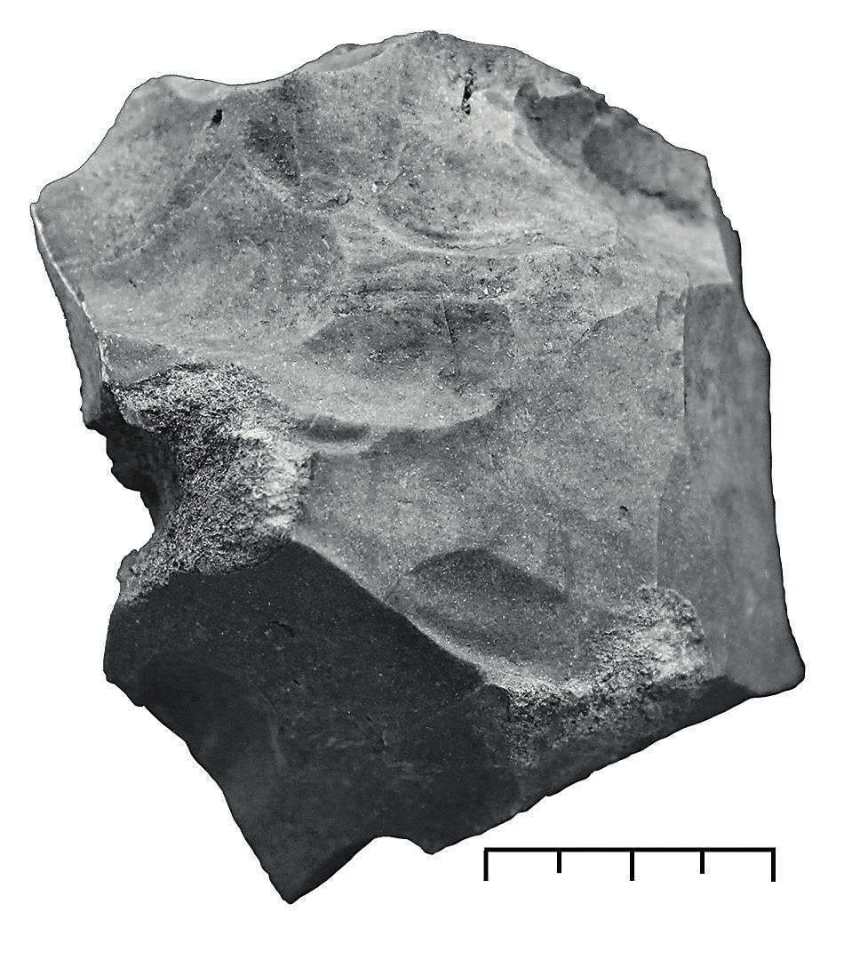 in Situ 64 7b. 7a. Exempel på ytfunna flintor från Tuve 46 som mer eller mindre krossats med direkt hård teknik och sannolikt inte hör samman med den neolitiska/äldre bronsålderdersflintan.
