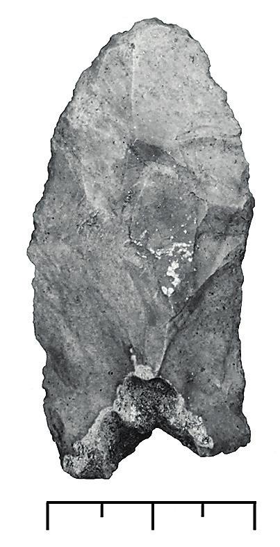 skivformade avslag med eller utan retusch ( Malmer 1955 : 6f ).