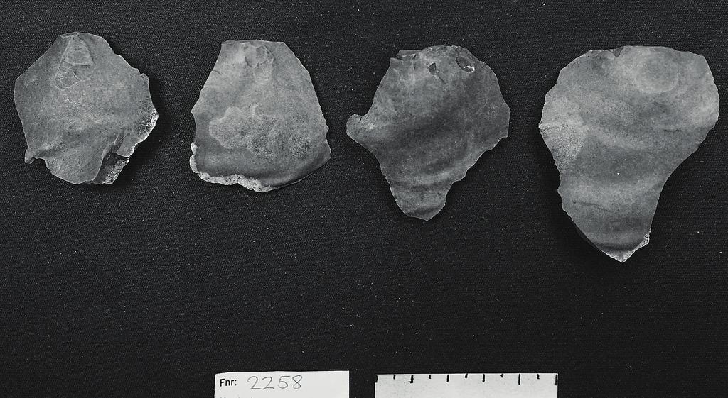 61 in Situ 5. Typiska avslag från produktionen av fyrsidiga yxor från Tuve 46. Flakes typical of the manufacture of four-sided axes from Tuve 46. Fnr 1616.