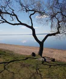 Husvagnen står på Caravan Club Sandviks camping i Linköpings kommun. Campingen är vackert beläget i en dalgång vid Roxen men det är inte allt för det finns något ännu finare och det är gemenskap.