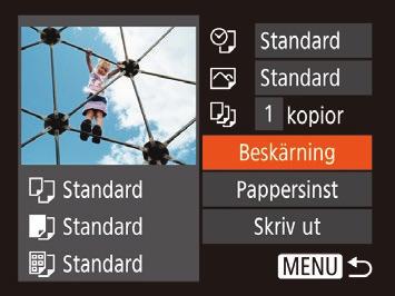 Båda Av Standard Av På Rödögon1 Matchar inställningarna för aktuell skrivare. Skriver ut bilder med datum. Skriver ut bilder med filnumret. Skriver ut bilder med både datum och filnummer.