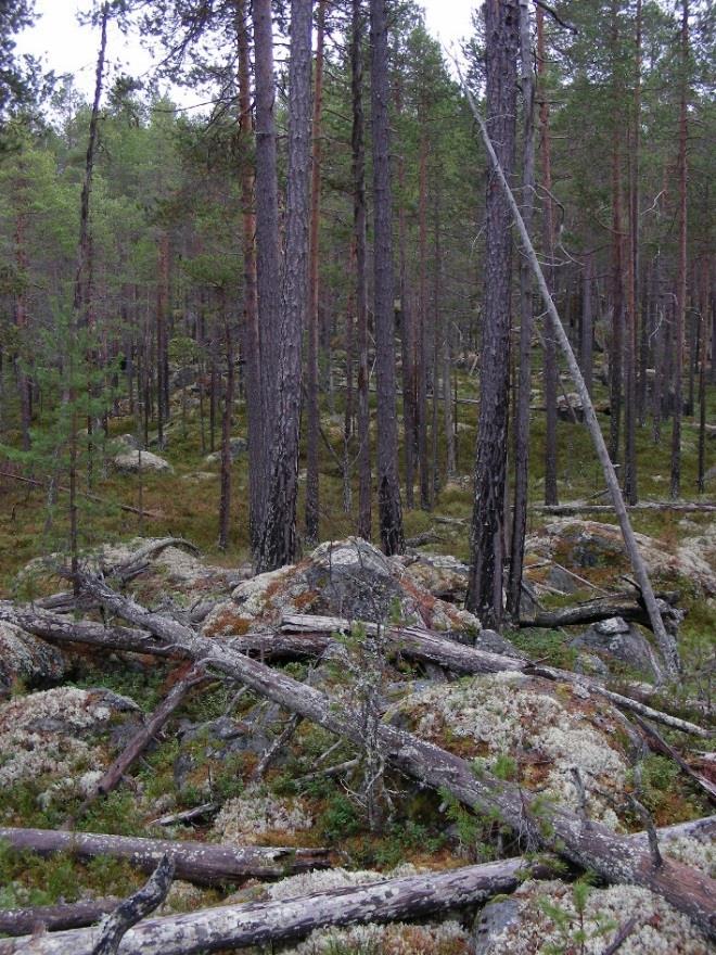 1 / 11 Beslut Datum 2017-05-08 511-1508-2017 Enligt sändlista Dnr (anges vid skriftväxling) Dossiénr NVR2046635 Beslut för bildande av naturreservatet Stuguåberget Uppgifter om naturreservatet