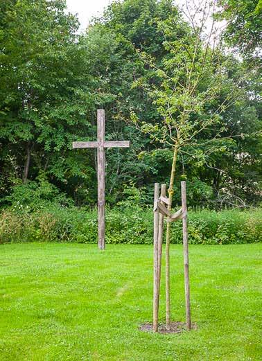 Ekarna berättar Eken som planterades vid Sankt Anna kyrka utanför Söderköping vid Ekovandringen 2015 På lång rad står de, ekarna. Långt emellan dem är det. Ofta många mil.