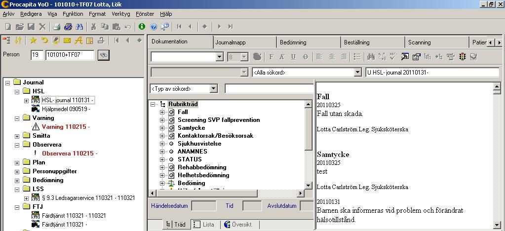 2 Du har delegerade HSL-insatser och beställning på dessa ska skickas till hemvårdsgrupperna.