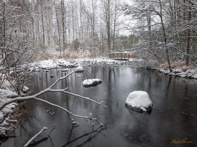 Naturskyddsföreningen Voxnadalen Årsmöte! Foto: helsingebilder.com Tisdag 21/3 Johannesgården, Alfta Kl: 18.30 Vi håller vår årliga stämma med sedvanliga stämmoförhandlingar.