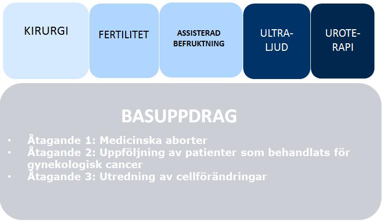 4 (11) Vid revideringen av vårdvalet har två rådgivande referensgrupper varit delaktiga i arbetet, en för revidering av vårdval specialiserad gynekologi och en för utveckling av tilläggsuppdragen