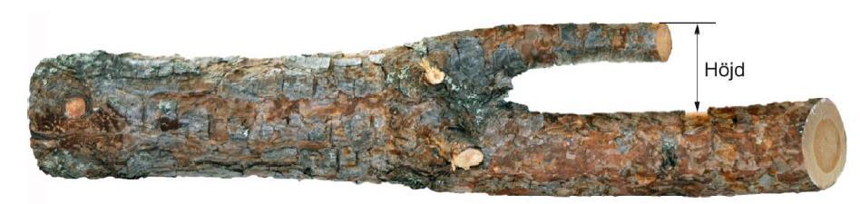 Kvist/gren räknas som avbruten om den gör mindre motstånd vid böjning än en obruten kvist med diameter 15 mm under bark. Figur 2. Mätning av kvisthöjd.