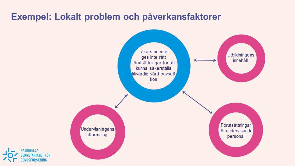 Problembeskrivning på lärosätesnivå Obs!