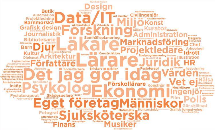 I exemplen på de öppna svaren syns tydligt hur specifika valen av jobb är. De flesta är helt unika och svåra att koda i gemensamma kategorier.