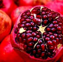 POMEGRANATE Fuktighetsgivande serie för färgat hår, milt nog att användas dagligen. Vårdar, återfuktar och ger glans till håret utan att göra det tungt. Doftar ljuvligt av granatäpple.