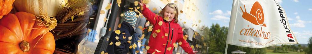 VERKSAMHETSREDOVISNING KOMMUNSTYRELSEN Kommunstyrelsen Ordförande: Conny Johansson Förvaltningschef: Katarina Andersson (oktober december) och Thomas Hjert (januari september) VERKSAMHET