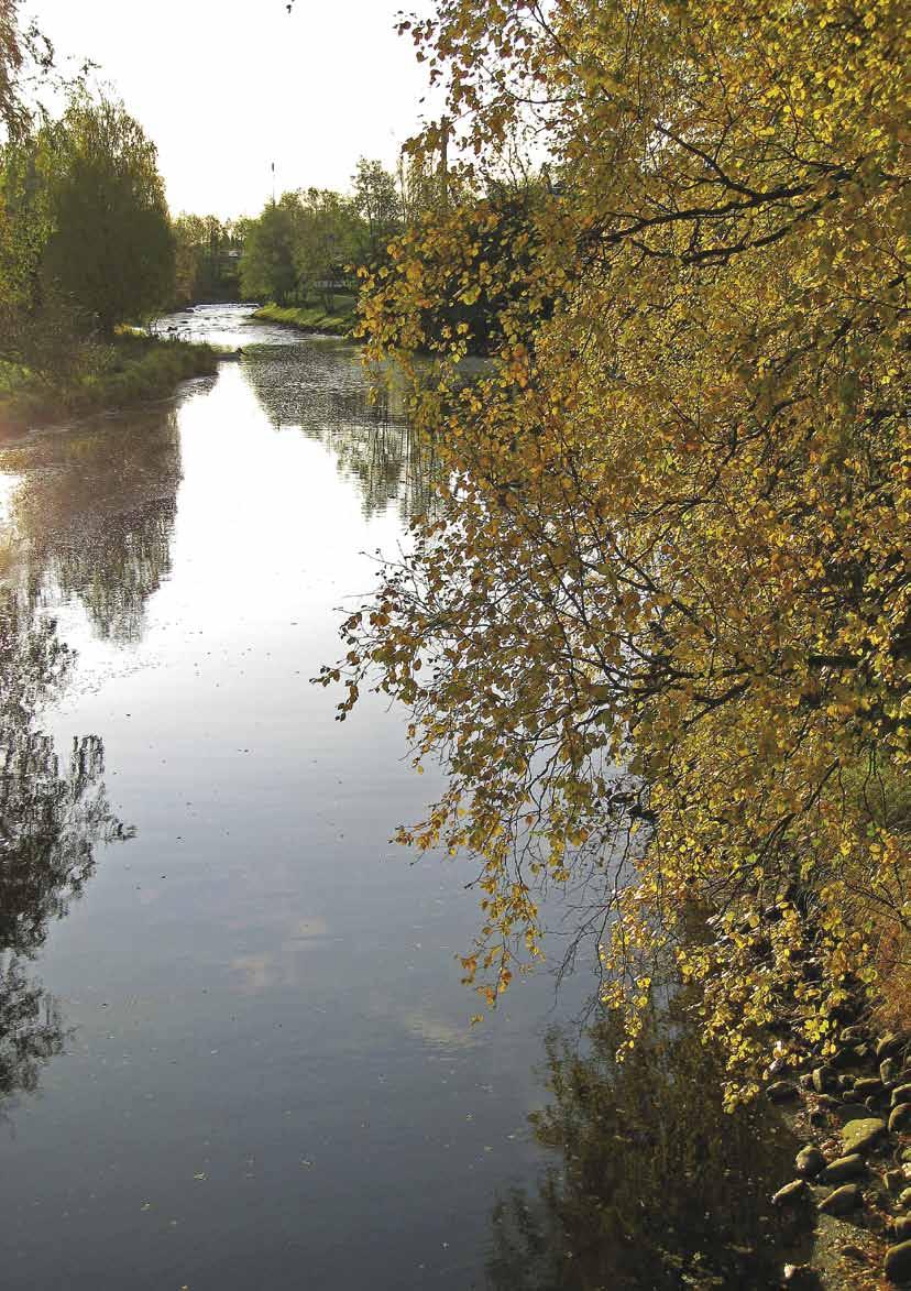 Liisa Maria Rautio 40 Förvaltningsplan för