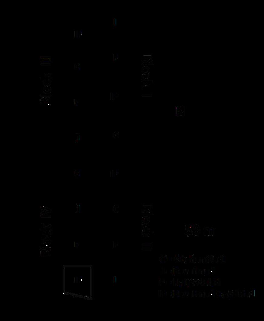 Figur 1. Försöksdesign för ekförsöket i Restad. Behandlingarna är: obehandlad (C), bevattnad (I), gödslad (F) och bevattnad och gödslad (IF).