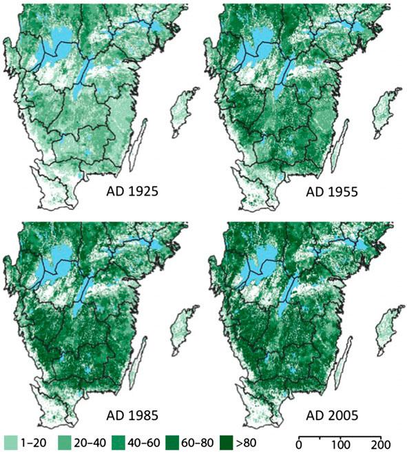 Figur 2. Volym gran (m 3 ) per hektar mellan 1925 och 2005 i södra Sverige. Publikationer: Felton, A., J. Boberg, C. Björkman, and O. Widenfalk. 2013.