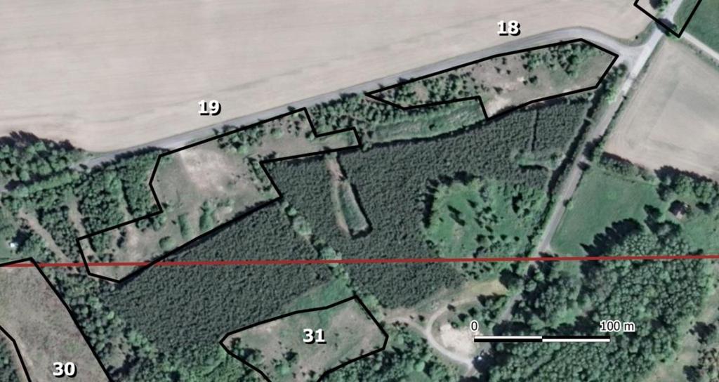 Delområde 18. Igenväxande ruderatmark Figur 114. Delområde 18 och 19. Rödlistade arter: Småfibblebi NT, praktbyxbi NT. Beskrivning: Ett sandigt område som är under igenväxning med tall och björk.